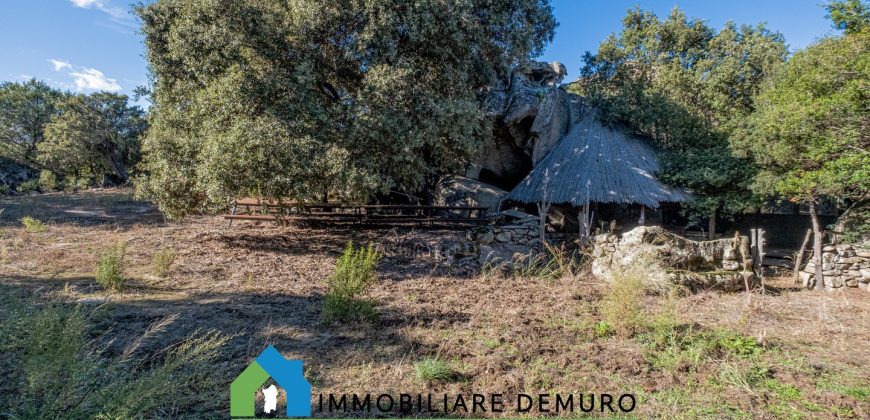 Azienda agricola in vendita in Gallura ref Cuncosu