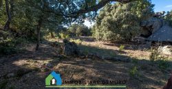 Azienda agricola in vendita in Gallura ref Cuncosu