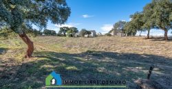 Azienda agricola in vendita in Gallura ref Cuncosu