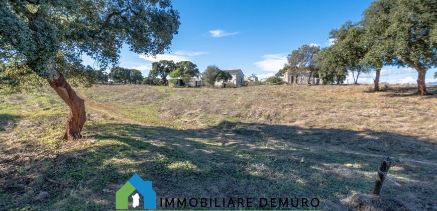 Azienda agricola in vendita in Gallura ref Cuncosu