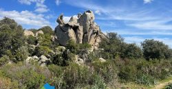 Azienda agricola in vendita in Gallura ref Cuncosu