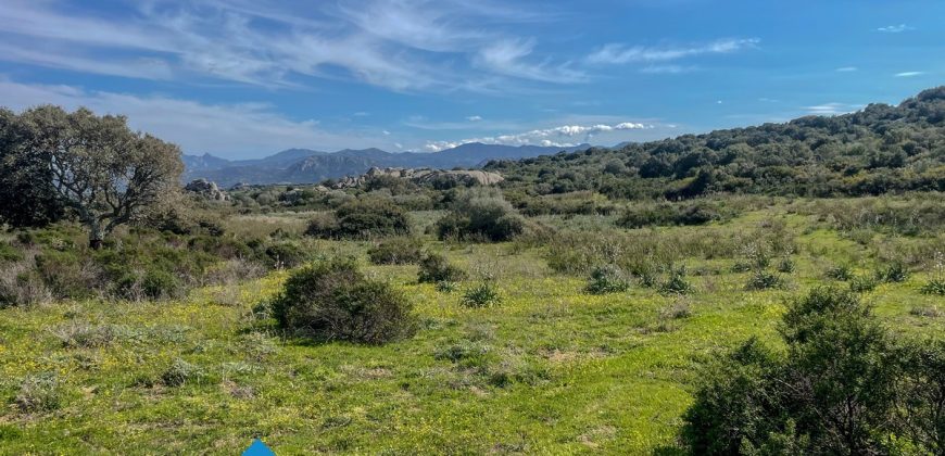 Azienda agricola in vendita in Gallura ref Cuncosu
