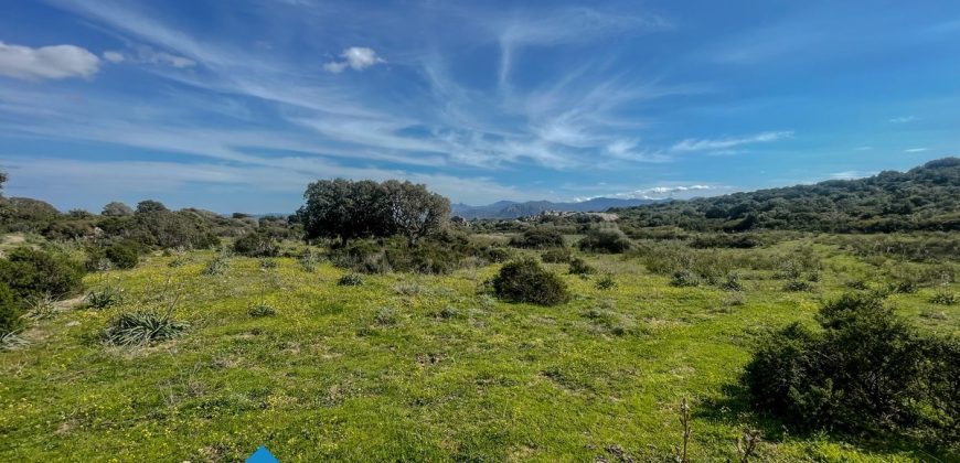 Azienda agricola in vendita in Gallura ref Cuncosu