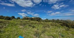 Azienda agricola in vendita in Gallura ref Cuncosu