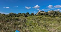 Azienda agricola in vendita in Gallura ref Cuncosu