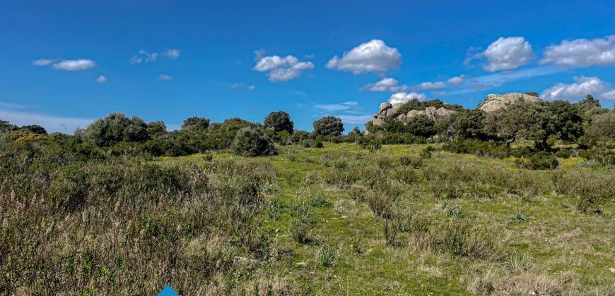 Azienda agricola in vendita in Gallura ref Cuncosu