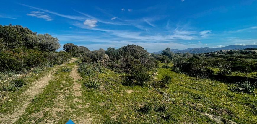 Azienda agricola in vendita in Gallura ref Cuncosu