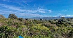 Azienda agricola in vendita in Gallura ref Cuncosu