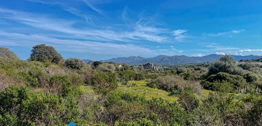 Azienda agricola in vendita in Gallura ref Cuncosu