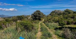 Azienda agricola in vendita in Gallura ref Cuncosu