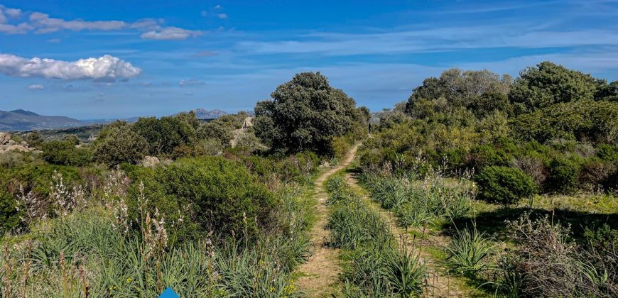 Azienda agricola in vendita in Gallura ref Cuncosu