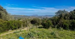Azienda agricola in vendita in Gallura ref Cuncosu