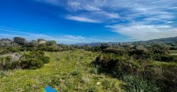 Azienda agricola in vendita in Gallura ref Cuncosu