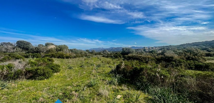 Azienda agricola in vendita in Gallura ref Cuncosu