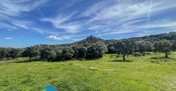 Azienda agricola in vendita in Gallura ref Cuncosu