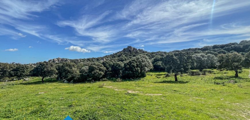 Azienda agricola in vendita in Gallura ref Cuncosu
