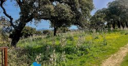 Azienda agricola in vendita in Gallura ref Cuncosu