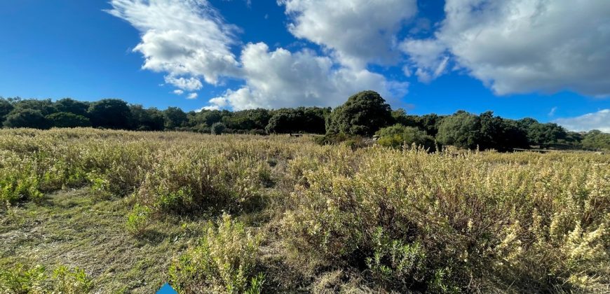 Azienda agricola in vendita in Gallura ref Cuncosu