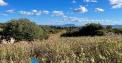 Azienda agricola in vendita in Gallura ref Cuncosu