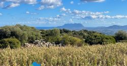 Azienda agricola in vendita in Gallura ref Cuncosu