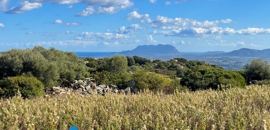 Azienda agricola in vendita in Gallura ref Cuncosu