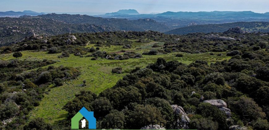 Azienda agricola in vendita in Gallura ref Cuncosu