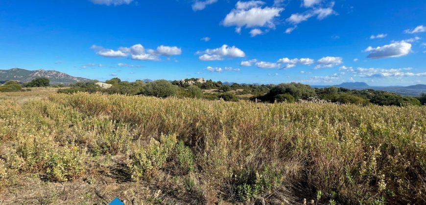 Azienda agricola in vendita in Gallura ref Cuncosu