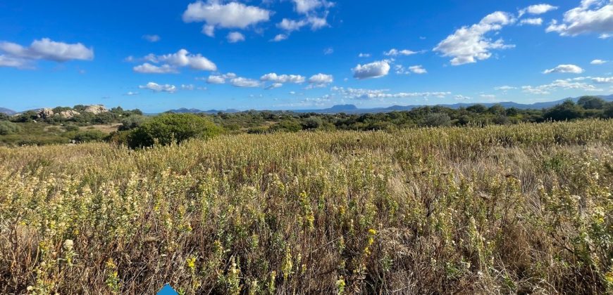 Azienda agricola in vendita in Gallura ref Cuncosu