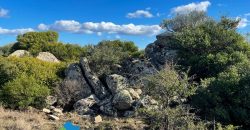 Azienda agricola in vendita in Gallura ref Cuncosu