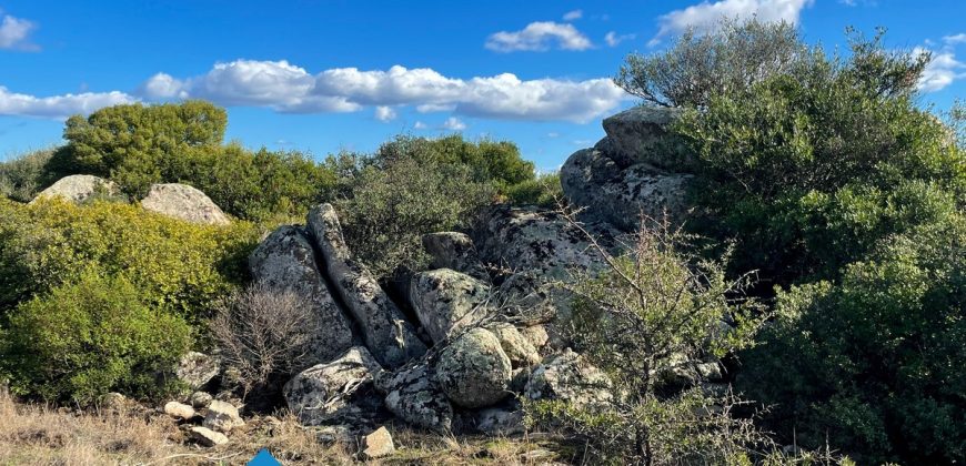 Azienda agricola in vendita in Gallura ref Cuncosu