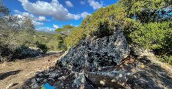 Azienda agricola in vendita in Gallura ref Cuncosu