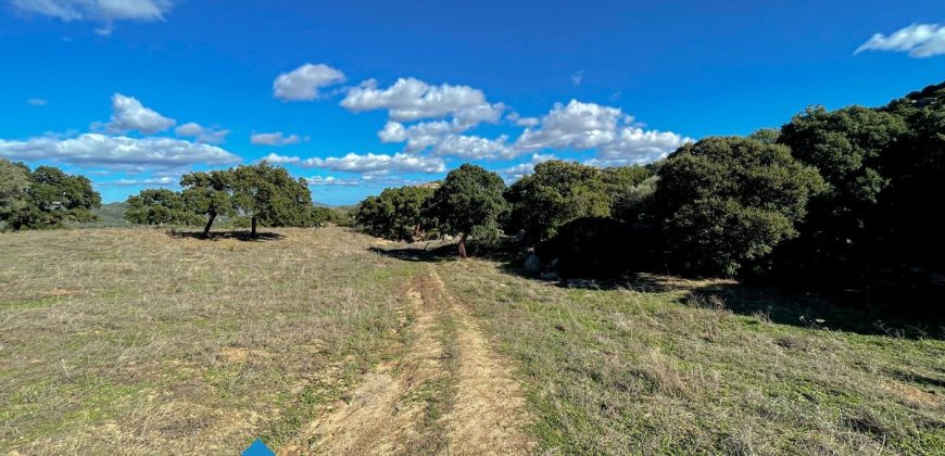 Azienda agricola in vendita in Gallura ref Cuncosu