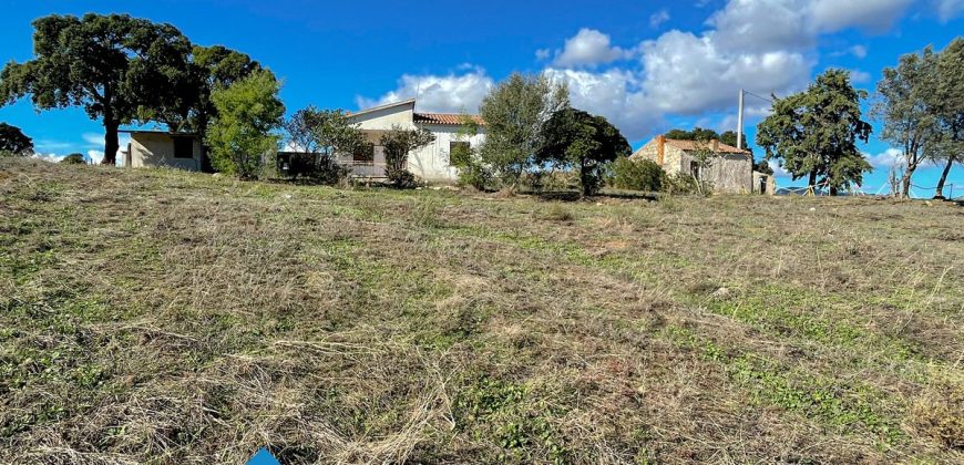 Azienda agricola in vendita in Gallura ref Cuncosu