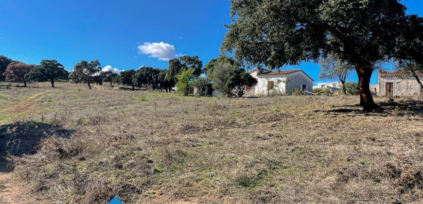 Azienda agricola in vendita in Gallura ref Cuncosu