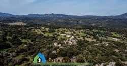 Azienda agricola in vendita in Gallura ref Cuncosu