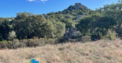 Azienda agricola in vendita in Gallura ref Cuncosu