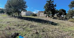 Azienda agricola in vendita in Gallura ref Cuncosu