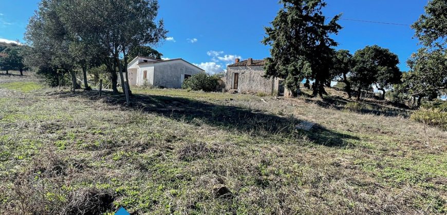 Azienda agricola in vendita in Gallura ref Cuncosu