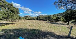 Azienda agricola in vendita in Gallura ref Cuncosu