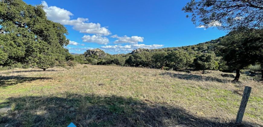 Azienda agricola in vendita in Gallura ref Cuncosu