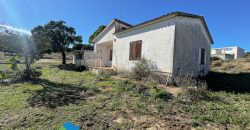 Azienda agricola in vendita in Gallura ref Cuncosu