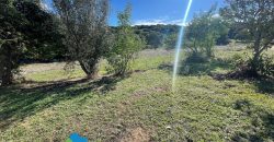 Azienda agricola in vendita in Gallura ref Cuncosu