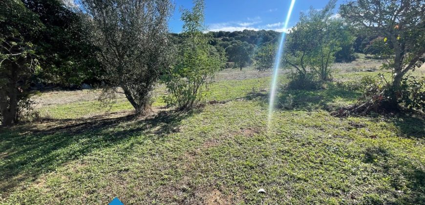 Azienda agricola in vendita in Gallura ref Cuncosu