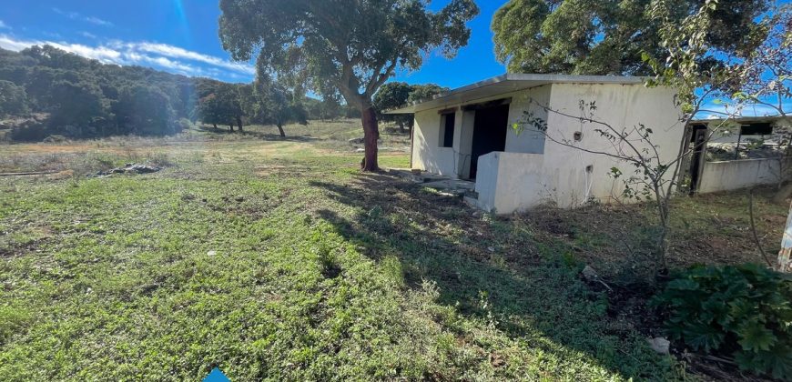 Azienda agricola in vendita in Gallura ref Cuncosu