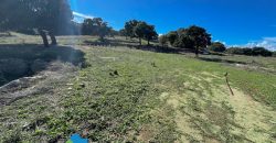Azienda agricola in vendita in Gallura ref Cuncosu