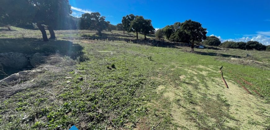 Azienda agricola in vendita in Gallura ref Cuncosu