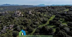 Azienda agricola in vendita in Gallura ref Cuncosu