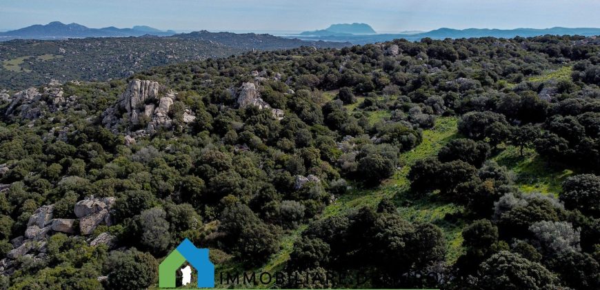 Azienda agricola in vendita in Gallura ref Cuncosu