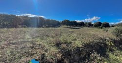 Azienda agricola in vendita in Gallura ref Cuncosu