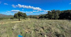 Azienda agricola in vendita in Gallura ref Cuncosu